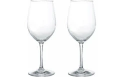 Gimex Kunststof Glazen Voor Witte Wijn Blow 0,25 L Set Van 2