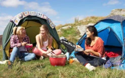 LotusGrill S Houtskool / Tafelgrill Met Draagtas Antracietgrijs -Buitenkampeer Winkel 331952 2193371 1