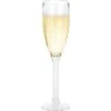 Berger Kunststof Champagneglazen 2 Per Set -Buitenkampeer Winkel 386017 2837768