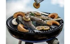 Cadac Carri Chef 50 BBQ -Buitenkampeer Winkel 511064 3571555