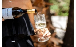 Berger Wijnglas Set Van 2 -Buitenkampeer Winkel 594239 4331207