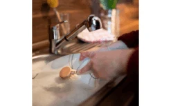 Chinchilla Wisselkop 3 Stuks Gemaakt Van Hout Inclusief Spoelborstel