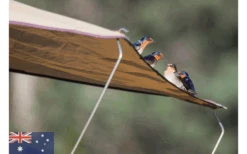 Gordigear Daktent 140 Plus Voor 2 Personen Met Luifel 140 X 320 Cm Grijs -Buitenkampeer Winkel 737393 4968680